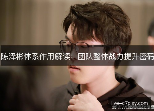 陈泽彬体系作用解读：团队整体战力提升密码